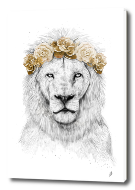 Festival lion (color version)