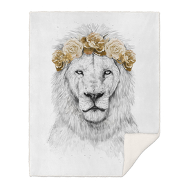 Festival lion (color version)