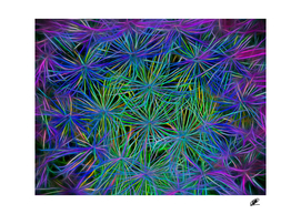 Dandelion macro shot neon processing