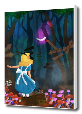 Alice in the wonderland