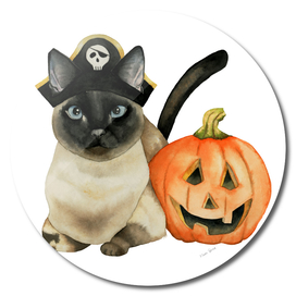 Halloween Siamese Cat with Jack O' Lantern