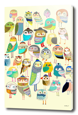 Owl Hundreds