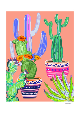 cactus wonderland