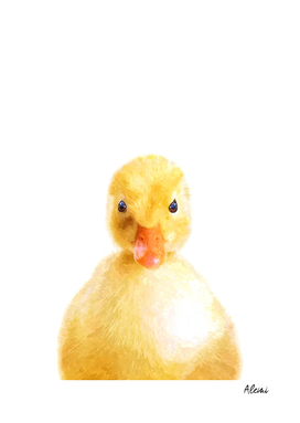 Duckling Portrait