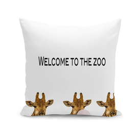Welcome to the Zoo