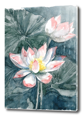Lotus, watercolor