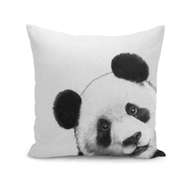 Peekaboo Panda