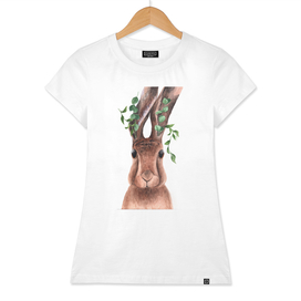 Rabbit and Eucalyptus