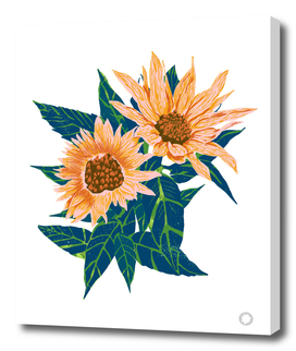 Blush Sunflowers-art-print