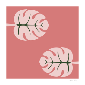 Tropical leaves Monstera deliciosa Flamingo and pink