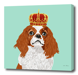 Cavalier King Charles Spaniel for Dog Lovers
