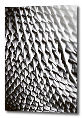 Bearded Dragon Scales Abstract