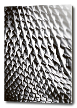 Bearded Dragon Scales Abstract