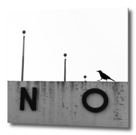 Black and White Crow on a Sign