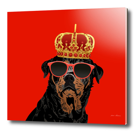 Thug Life King Rottweiler for Rottweiler Parents