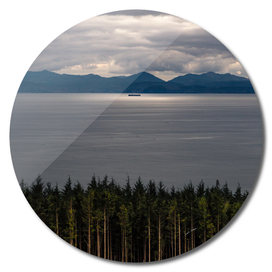 Trees, Sea, and Sun on the Vancouver Island Coast