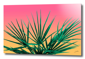 Vaporwave Palm Life - Miami Vibes