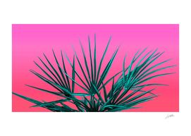 Pink Palm Life - Miami Vaporwave
