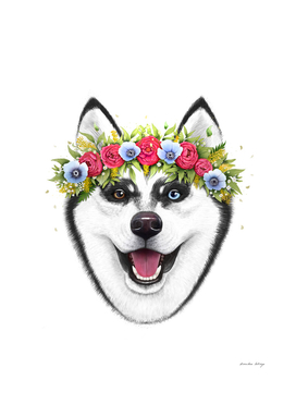 Husky with flowers