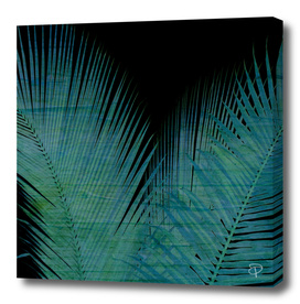 Night Palm