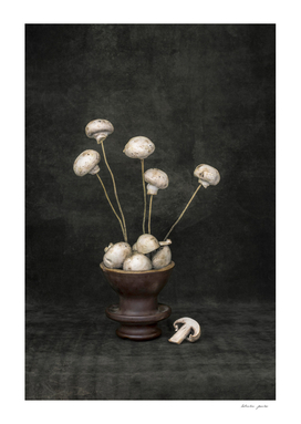Bouquet of mushrooms