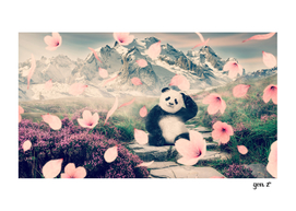 Baby Panda by GEN Z