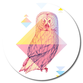 Mystical Woodland Animals: The Owl