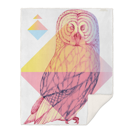 Mystical Woodland Animals: The Owl