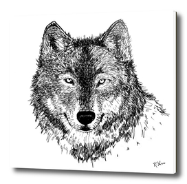 Wolf (Black and White)