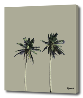 Twin Palms (warm grey)