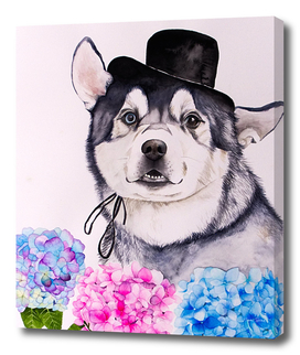 Husky and Hydrangea Flowers Watercolor Painting