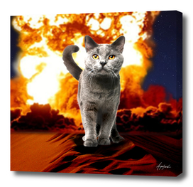 ALL OVER Cat Explosion Action movie Crazy Art Galaxy