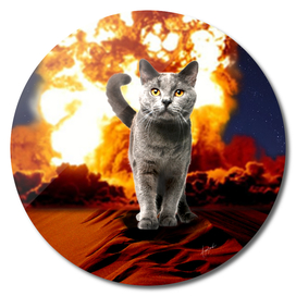 ALL OVER Cat Explosion Action movie Crazy Art Galaxy