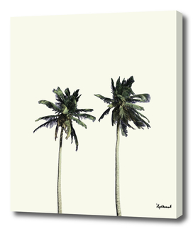 Twin Palms (soft white)