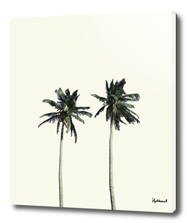 Twin Palms (soft white)