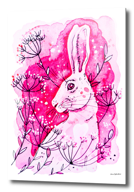 Pink Hare