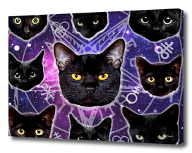 Satanic Cat Dark Gothic Black Kitty sat