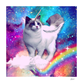 unicorn cat spece crazy cat rainow