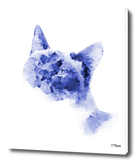 Cat: Dresden Blue