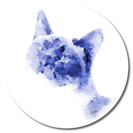 Cat: Dresden Blue