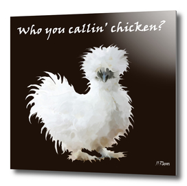 Silkie Chicken Typography