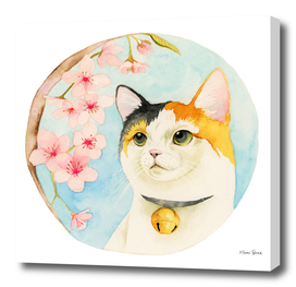 "Hanami" - Calico Cat and Cherry Blossom