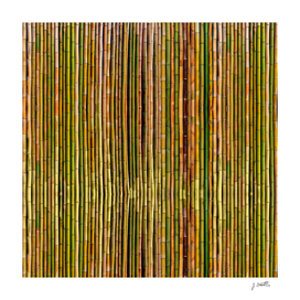 Bamboo fence, texture