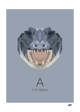 A is for Alligator