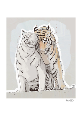 Tigers in Love