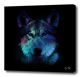 BE WOLF - #3