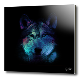 BE WOLF - #3