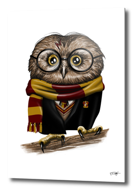 Owly Potter by Vincent Trinidad