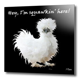 White Silkie Chicken: Hey, I'm squawking here?