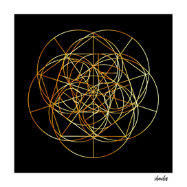 Fibonacci Spiral- The sacred geometry